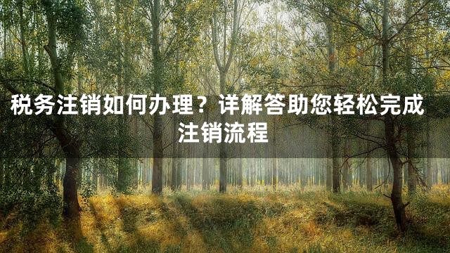税务注销如何办理？详解答助您轻松完成注销流程