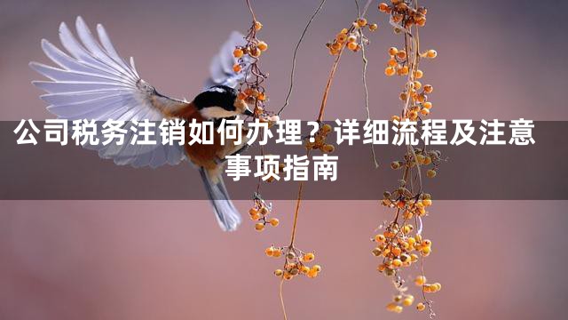 公司税务注销如何办理？详细流程及注意事项指南