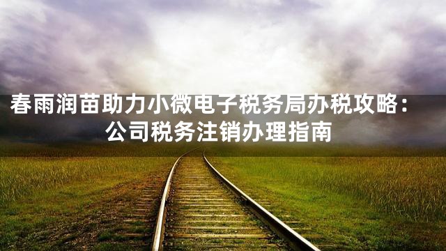 春雨润苗助力小微电子税务局办税攻略：公司税务注销办理指南