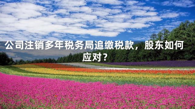 公司注销多年税务局追缴税款，股东如何应对？