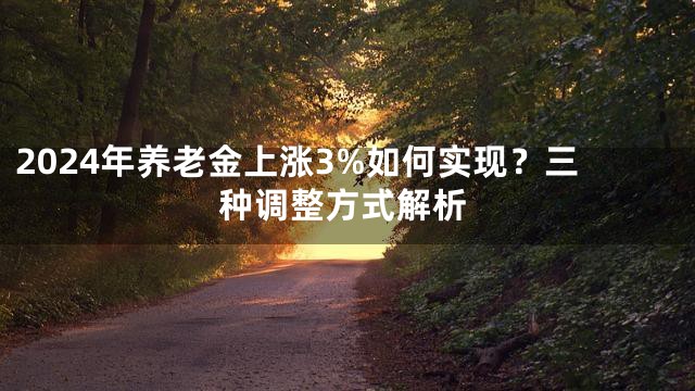 2024年养老金上涨3%如何实现？三种调整方式解析
