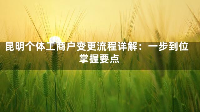 昆明个体工商户变更流程详解：一步到位掌握要点