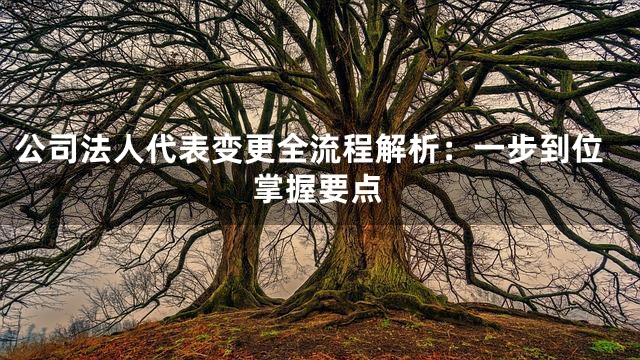 公司法人代表变更全流程解析：一步到位掌握要点