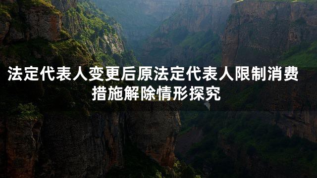 法定代表人变更后原法定代表人限制消费措施解除情形探究