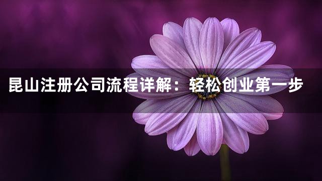 昆山注册公司流程详解：轻松创业第一步