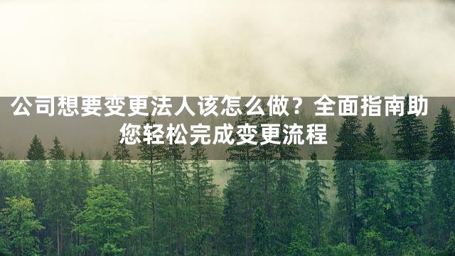 公司想要变更法人该怎么做？全面指南助您轻松完成变更流程