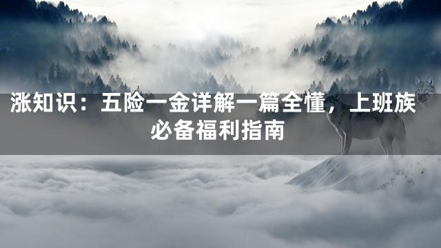 涨知识：五险一金详解一篇全懂，上班族必备福利指南