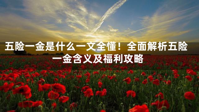 五险一金是什么一文全懂！全面解析五险一金含义及福利攻略