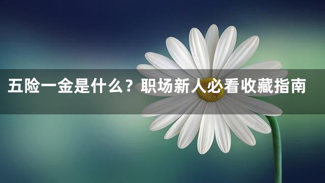 五险一金是什么？职场新人必看收藏指南