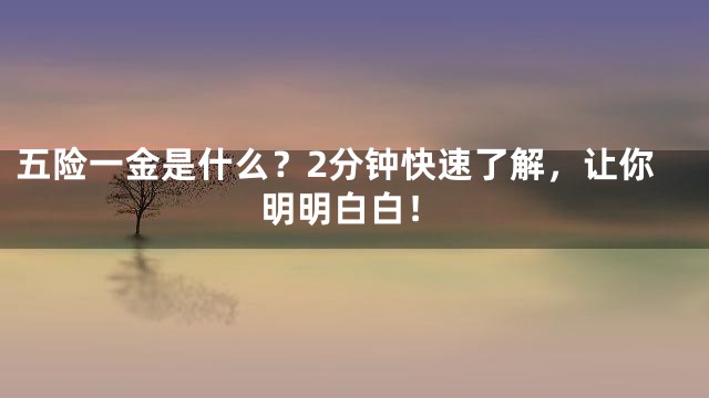 五险一金是什么？2分钟快速了解，让你明明白白！