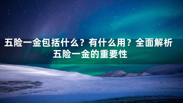 五险一金包括什么？有什么用？全面解析五险一金的重要性