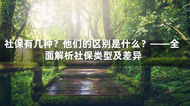 社保有几种？他们的区别是什么？——全面解析社保类型及差异