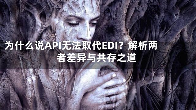 为什么说API无法取代EDI？解析两者差异与共存之道