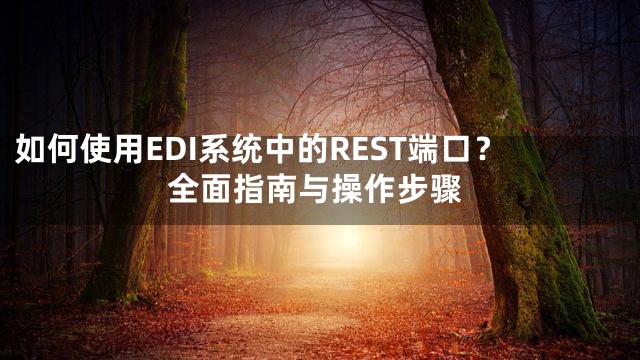 如何使用EDI系统中的REST端口？全面指南与操作步骤