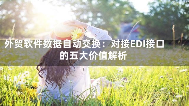 外贸软件数据自动交换：对接EDI接口的五大价值解析