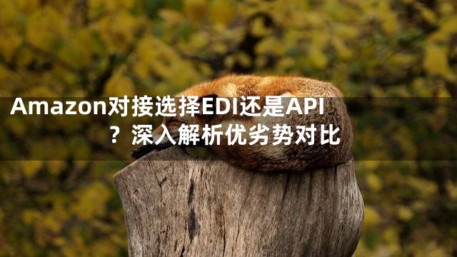 Amazon对接选择EDI还是API？深入解析优劣势对比
