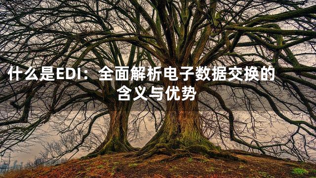 什么是EDI：全面解析电子数据交换的含义与优势