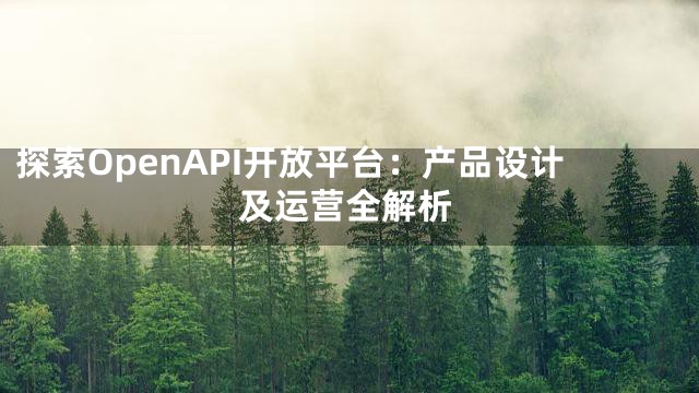 探索OpenAPI开放平台：产品设计及运营全解析
