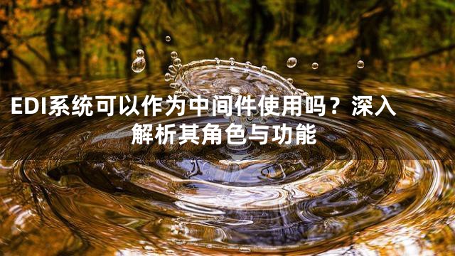 EDI系统可以作为中间件使用吗？深入解析其角色与功能