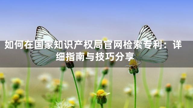 如何在国家知识产权局官网检索专利：详细指南与技巧分享