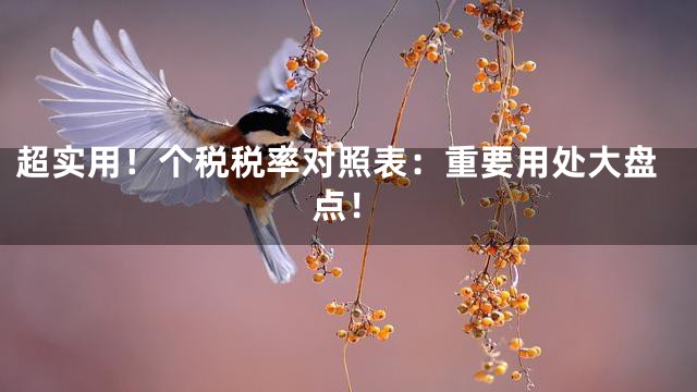 超实用！个税税率对照表：重要用处大盘点！