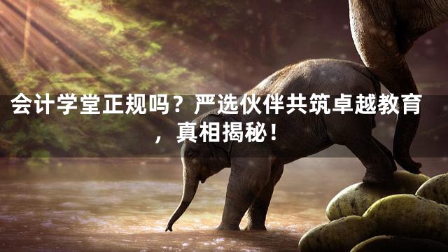 会计学堂正规吗？严选伙伴共筑卓越教育，真相揭秘！