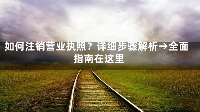 如何注销营业执照？详细步骤解析→全面指南在这里