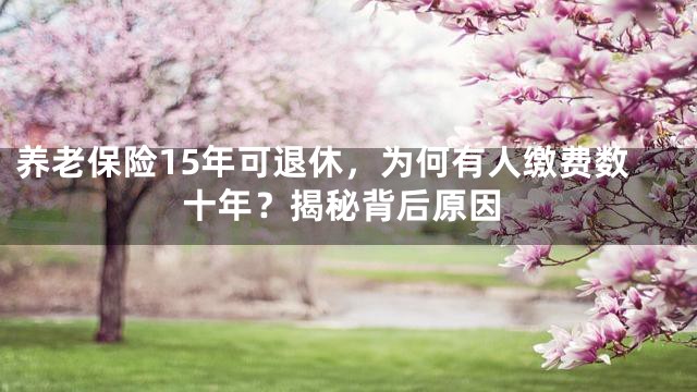 养老保险15年可退休，为何有人缴费数十年？揭秘背后原因