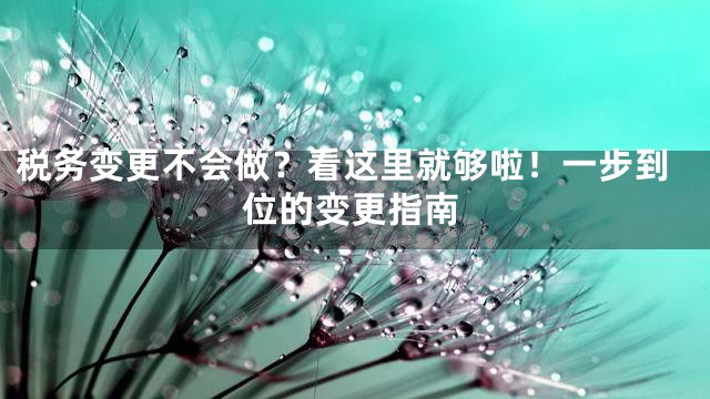 税务变更不会做？看这里就够啦！一步到位的变更指南