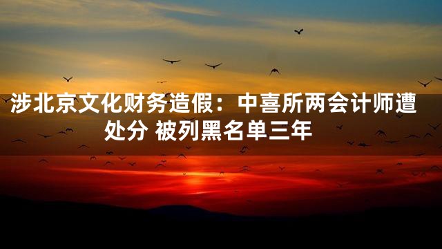 涉北京文化财务造假：中喜所两会计师遭处分 被列黑名单三年