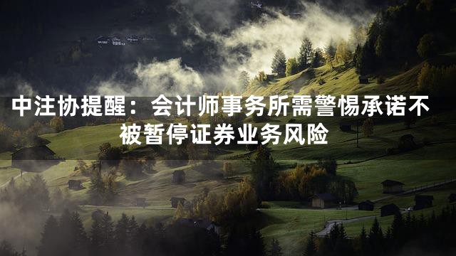 中注协提醒：会计师事务所需警惕承诺不被暂停证券业务风险