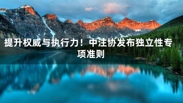 提升权威与执行力！中注协发布独立性专项准则