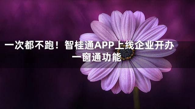 一次都不跑！智桂通APP上线企业开办一窗通功能