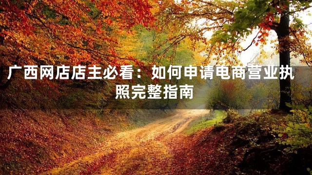 广西网店店主必看：如何申请电商营业执照完整指南