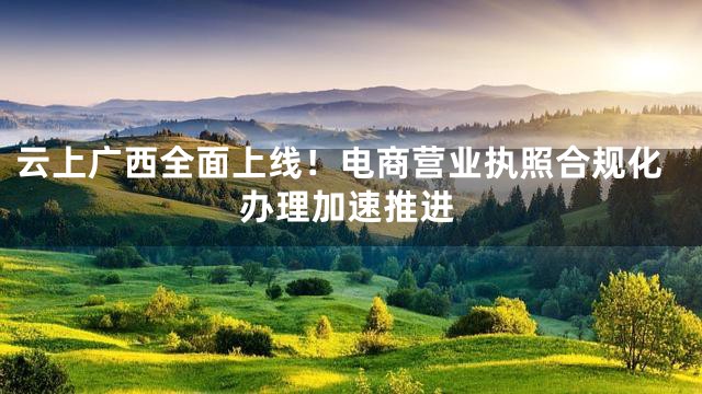 云上广西全面上线！电商营业执照合规化办理加速推进
