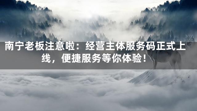 南宁老板注意啦：经营主体服务码正式上线，便捷服务等你体验！