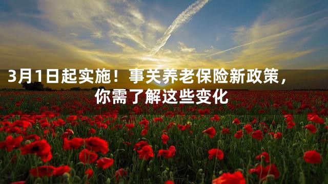 3月1日起实施！事关养老保险新政策，你需了解这些变化