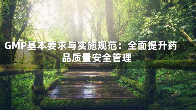 GMP基本要求与实施规范：全面提升药品质量安全管理