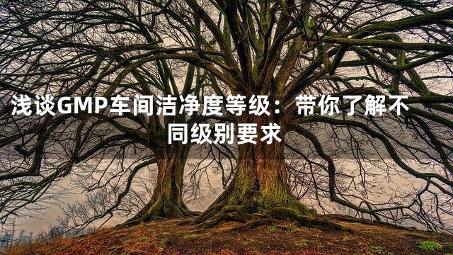浅谈GMP车间洁净度等级：带你了解不同级别要求