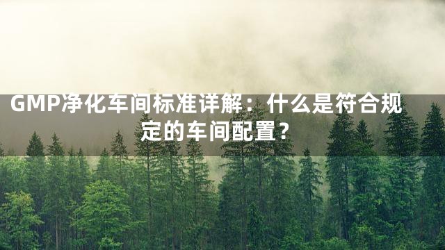 GMP净化车间标准详解：什么是符合规定的车间配置？