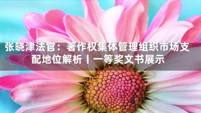 张晓津法官：著作权集体管理组织市场支配地位解析丨一等奖文书展示