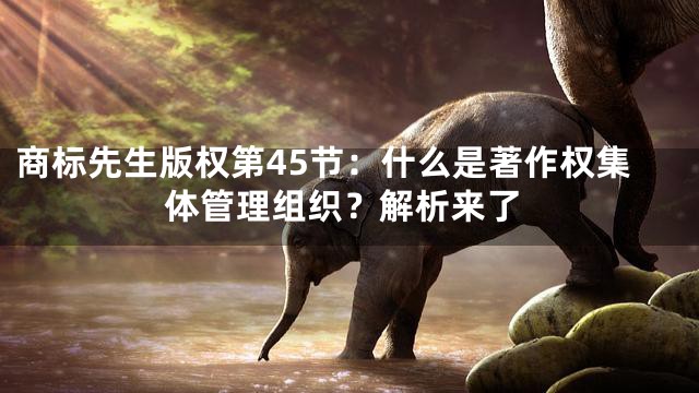 商标先生版权第45节：什么是著作权集体管理组织？解析来了