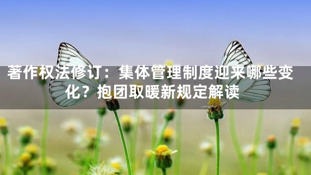 著作权法修订：集体管理制度迎来哪些变化？抱团取暖新规定解读