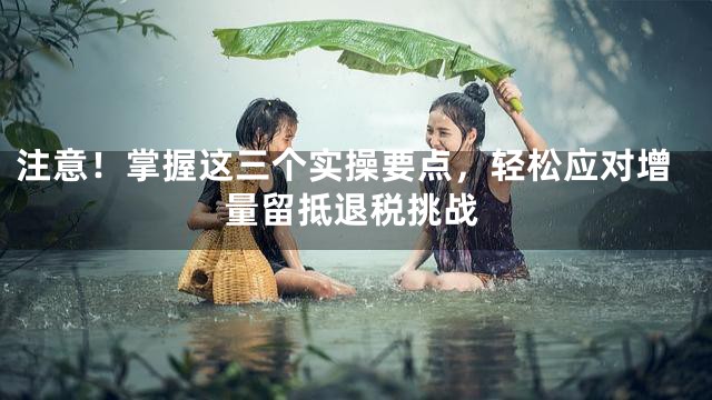 注意！掌握这三个实操要点，轻松应对增量留抵退税挑战
