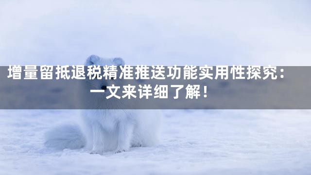 增量留抵退税精准推送功能实用性探究：一文来详细了解！