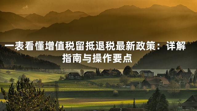一表看懂增值税留抵退税最新政策：详解指南与操作要点