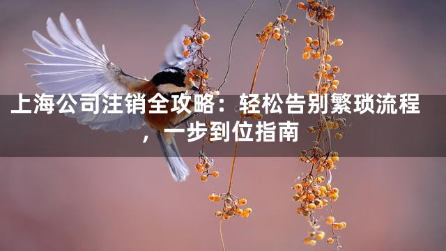 上海公司注销全攻略：轻松告别繁琐流程，一步到位指南