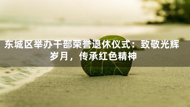 东城区举办干部荣誉退休仪式：致敬光辉岁月，传承红色精神