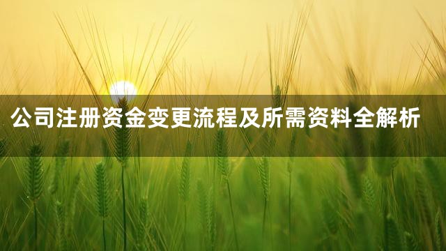 公司注册资金变更流程及所需资料全解析