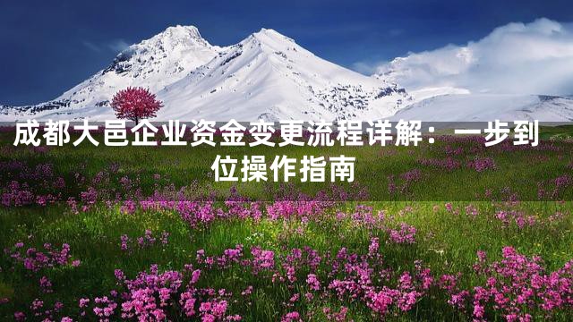 成都大邑企业资金变更流程详解：一步到位操作指南